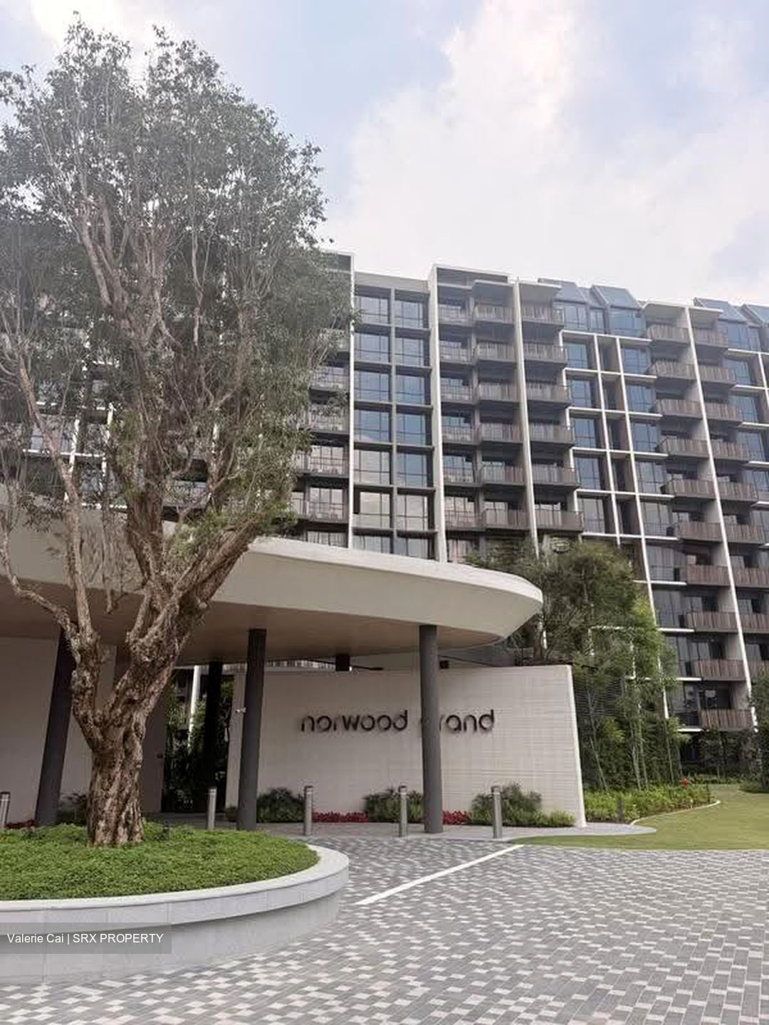 Norwood Grand (D25), Apartment #610911421